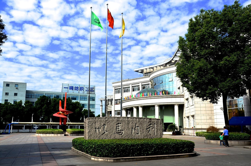 Company Bio (Large)-1.jpg