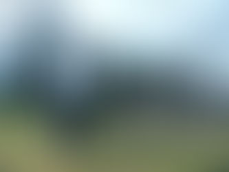 SWAISHO - Les bienfaits d'un geste simple