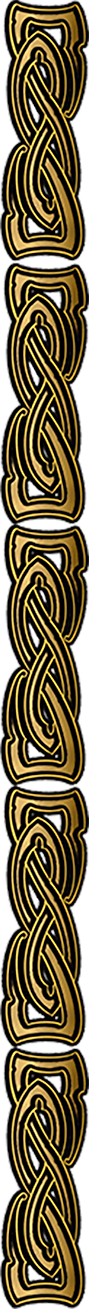 border_edited_edited_edited.png