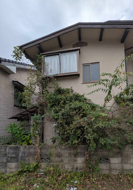 壁に絡まった草の除去