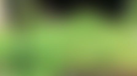 空家となった実家の草刈り