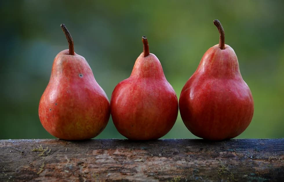 Pera ricca di fibre, polifenoli, flavonoidi e altri micronutirenti