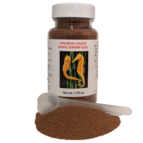 Brine Shrimp Eggs | Wonder Pets Corp