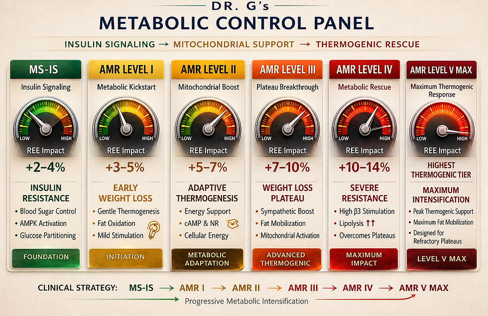 CONTROL PANEL.png