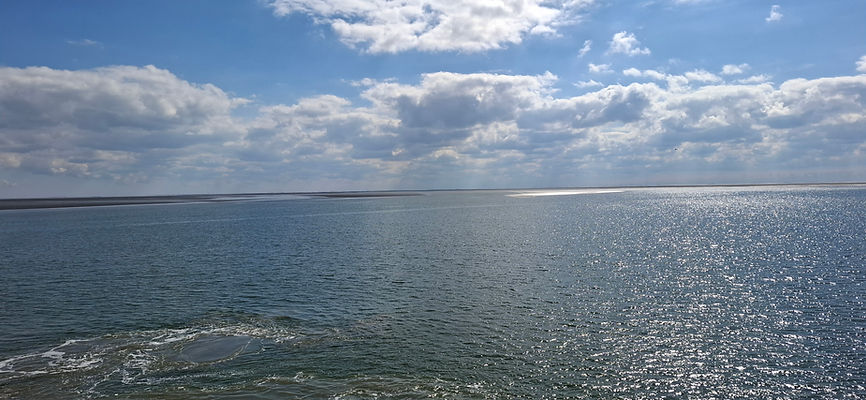 20260509_110136.jpg