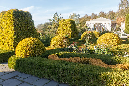 cottage-garden-with-topiary-and-trimmed-bushes-2021-12-09-19-22-38-utc.JPG