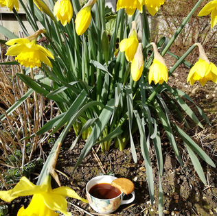 Making Arabic Coffee – An exciting change to your coffee through adding cardamom