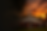 ChatGPT Image Jul 7, 2026 at 06_08_12 PM.png