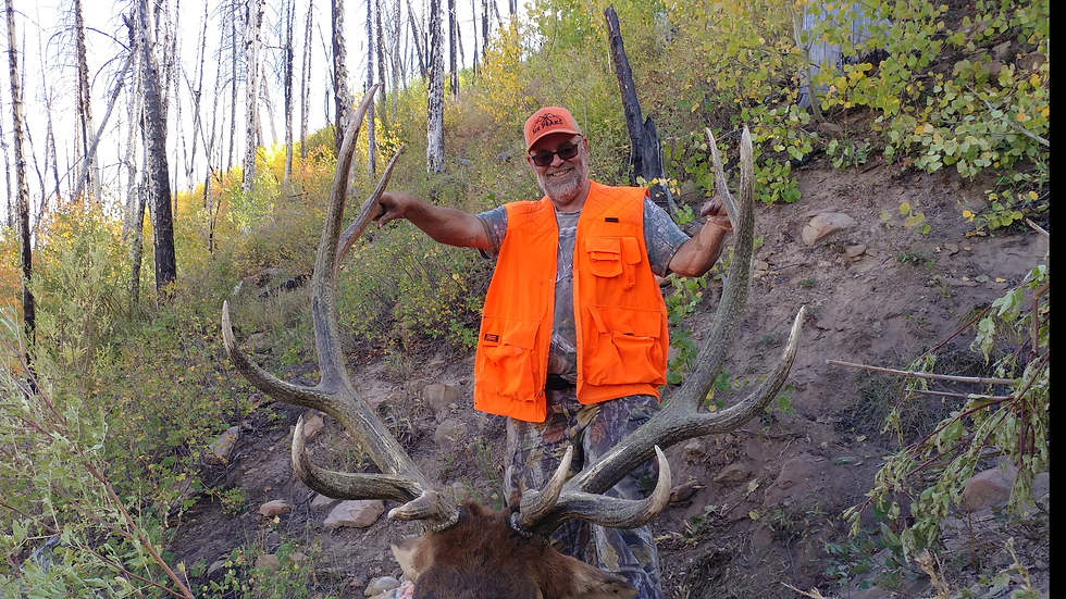 Screenshot_2018-09-17-08-26-37