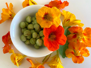 紐西蘭這種常見的花你吃過嗎?