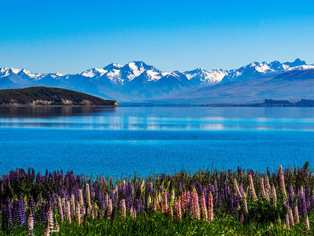 調查顯示紐西蘭人期待怎樣的國內旅行體驗