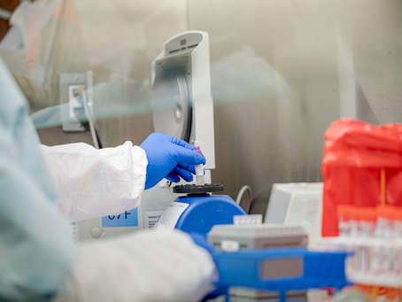 奧塔哥大學疫情檢測方法被多國使用