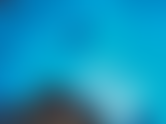 紐西蘭世界級潛水勝地這個夏天在向你招手