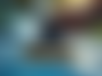 Waarom Kies je voor Professionele Polishing Pakketten?