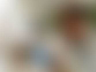 Welcome to Kuritsa Poultry, Where Care Meets Expertise