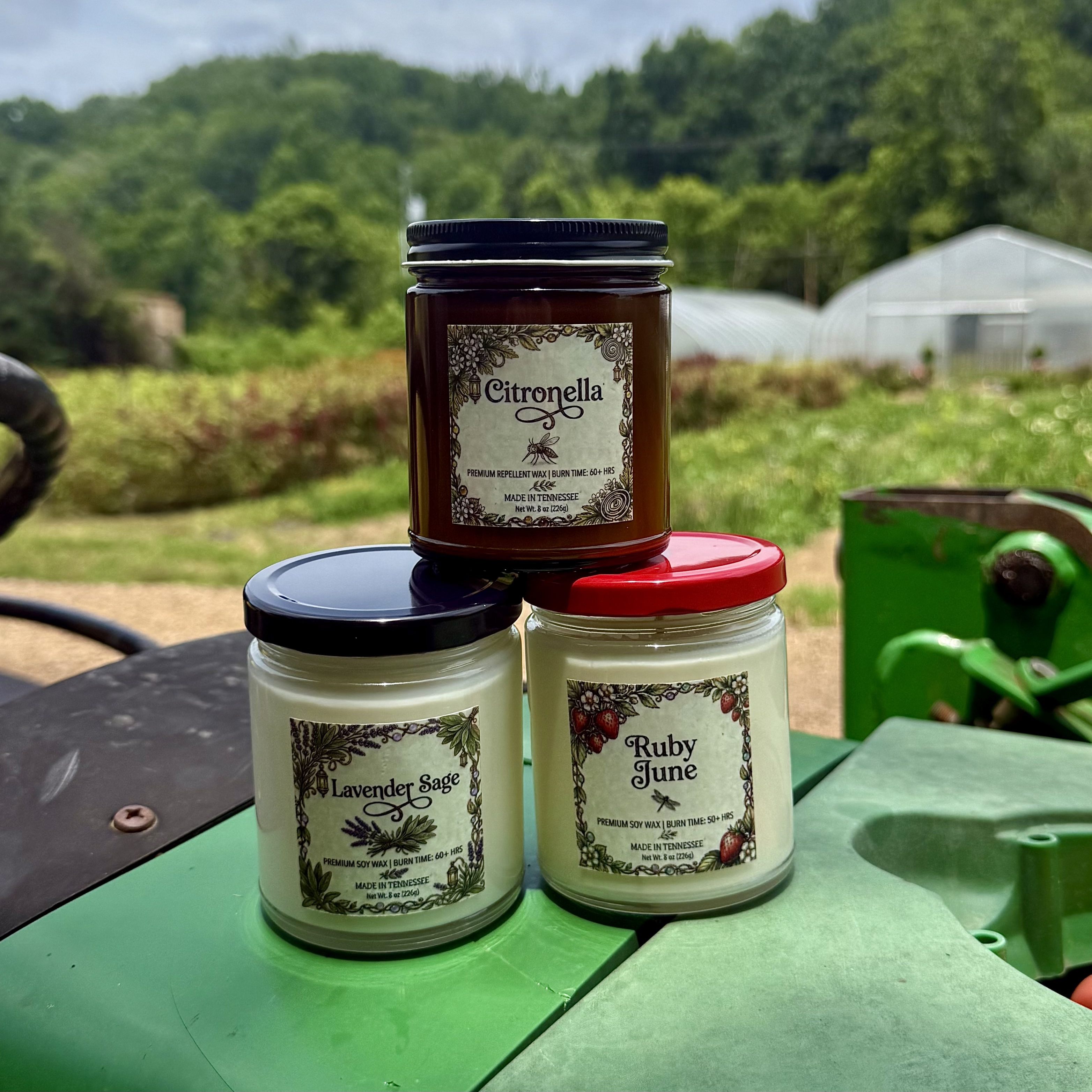 Summer Candle Collection