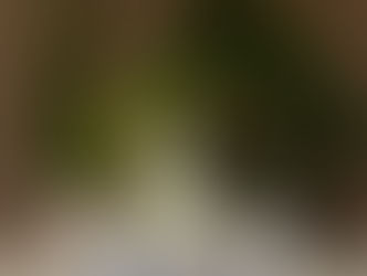 TCM Herbal Therapy in Victoria BC: Golden Flower Update & New Herbal Options for 2026