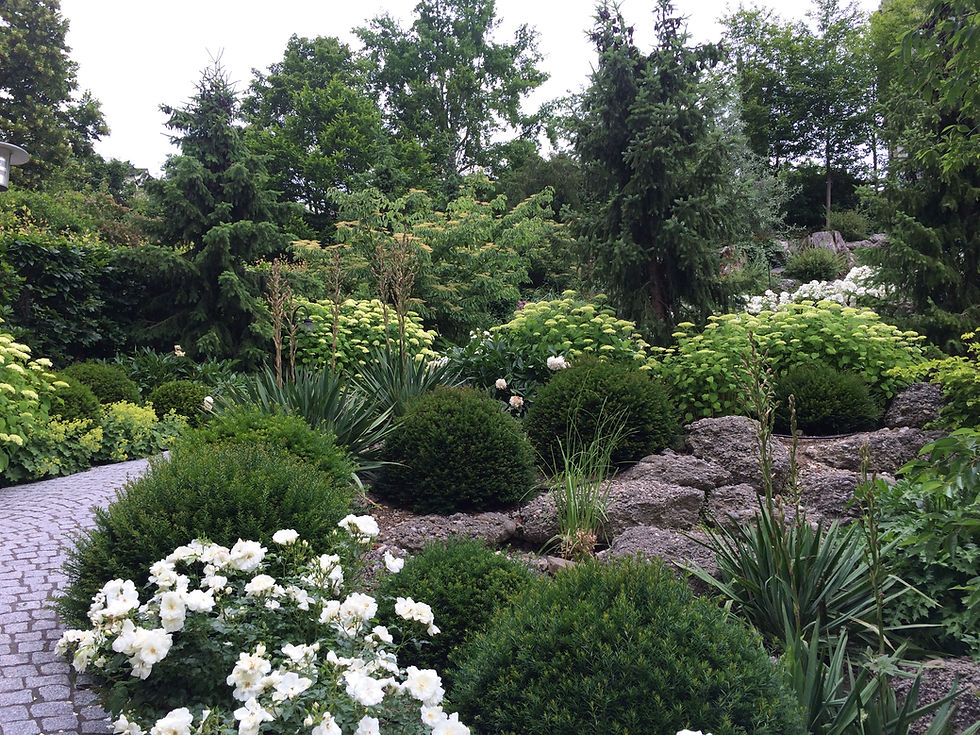Gartenanlage - Schaffhausen