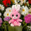 Thumbnail: small pink bunny