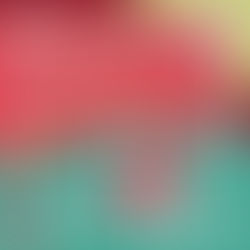 Valentines Chocolate Weekend