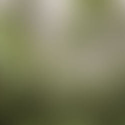 Mist, Cloud, Shadow, and Light: summer camping 2022