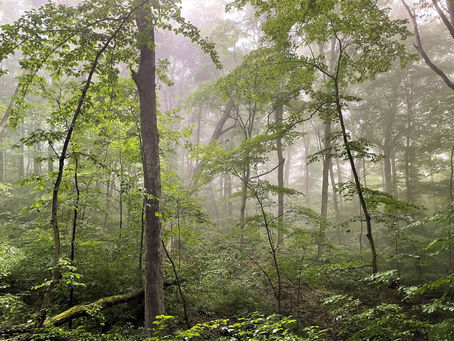 Mist, Cloud, Shadow, and Light: summer camping 2022