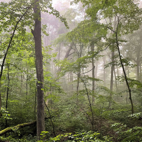 Mist, Cloud, Shadow, and Light: summer camping 2022