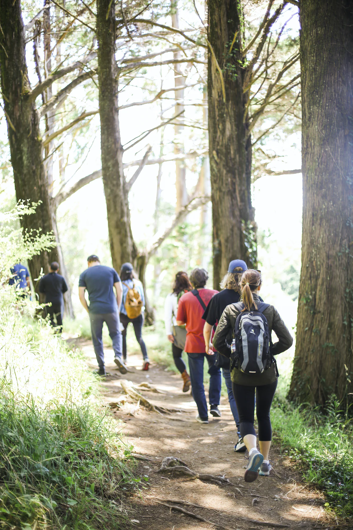 Weekly Wellness Walks