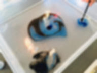 received_285546648819962.jpeg