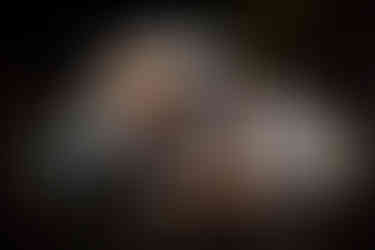 Naughty Mutt Nice - Halloween Dog Parade 2023 (Janie Critchley Photograph)