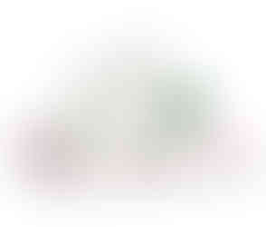 Gentle dog wipes for paws, bums & tums - BECO