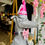 Thumbnail: Barking Bakery - Pawty Hats - Dog Hat