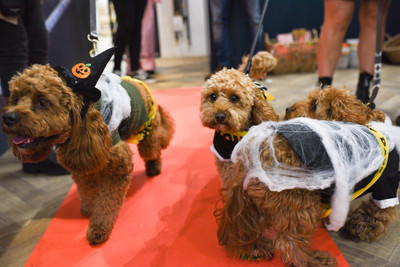 NMN Halloween Dog Parade