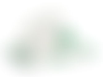 Gentle dog wipes for paws, bums & tums - BECO