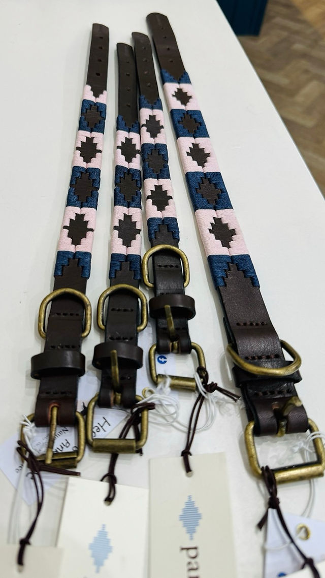 Dog Leads Collars Harness