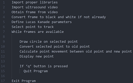 Mark's Pseudo Code.png