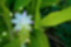 CKL07005 (1)_edited.jpg