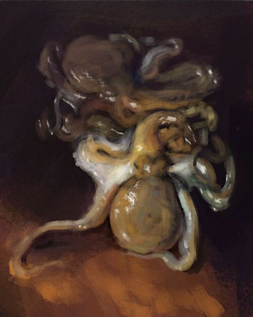 Octopus