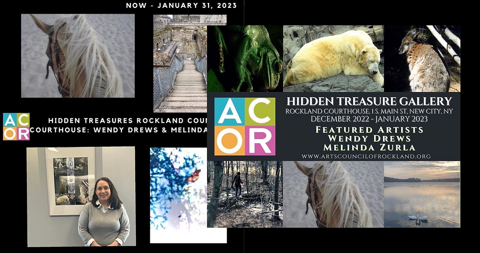 Hidden Treasures Rockland County CourtHouse