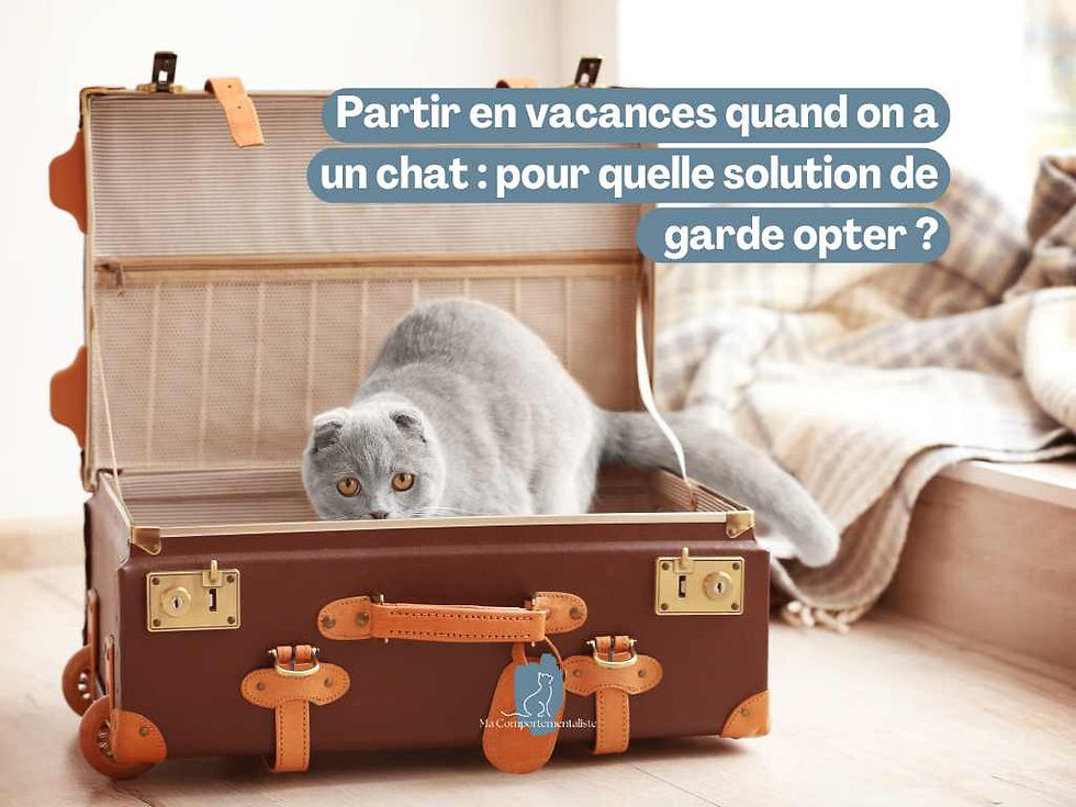 Préparer votre chat à votre absence