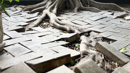 Concours Photo et Texte : Territoires d'Asie "Des Images et des Mots"