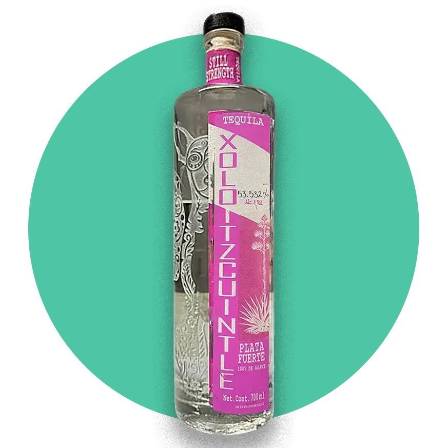Xoloitzcuintle Plata Fuerte Still Strength Quiote Tequila