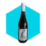 Domaine Bio Coste Coteaux du Giennois MC2 2020