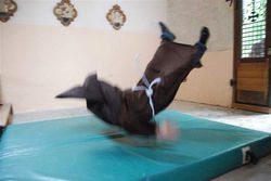 FB_IMG_1563956021113