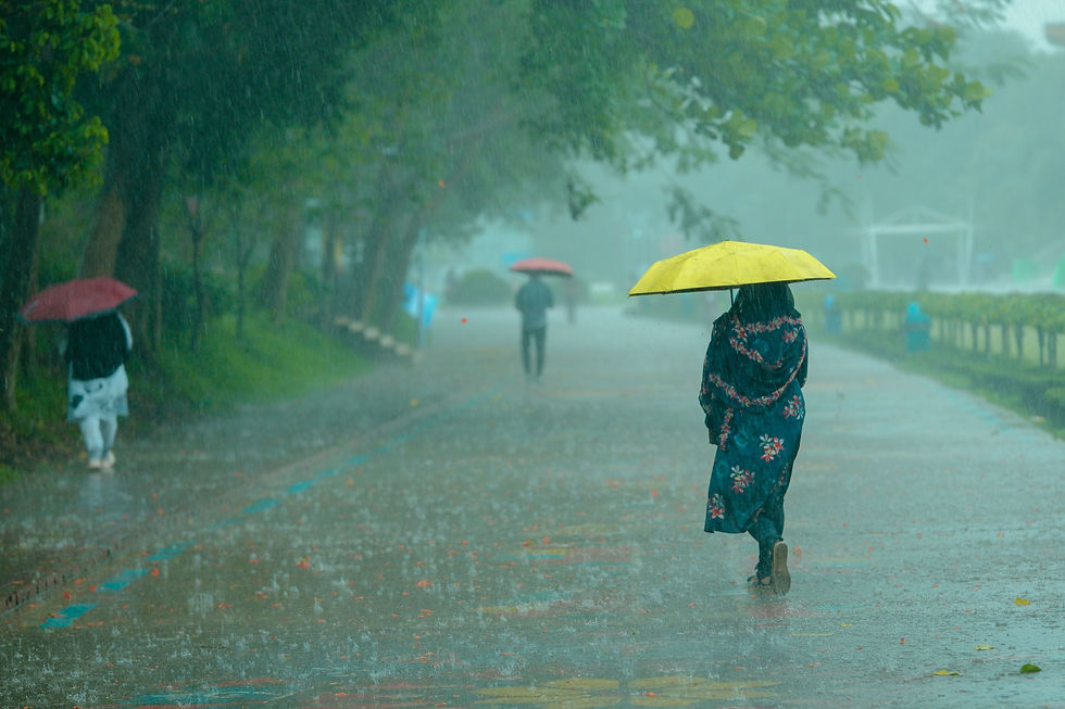 People walking through a rain-soaked park, their colorful umbrellas brightening the otherwise gray and misty day.