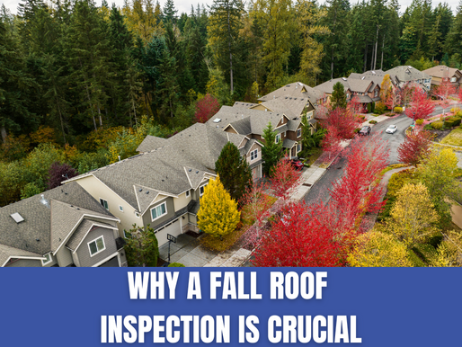 An image of a row of homes with leaf damaged roofs.