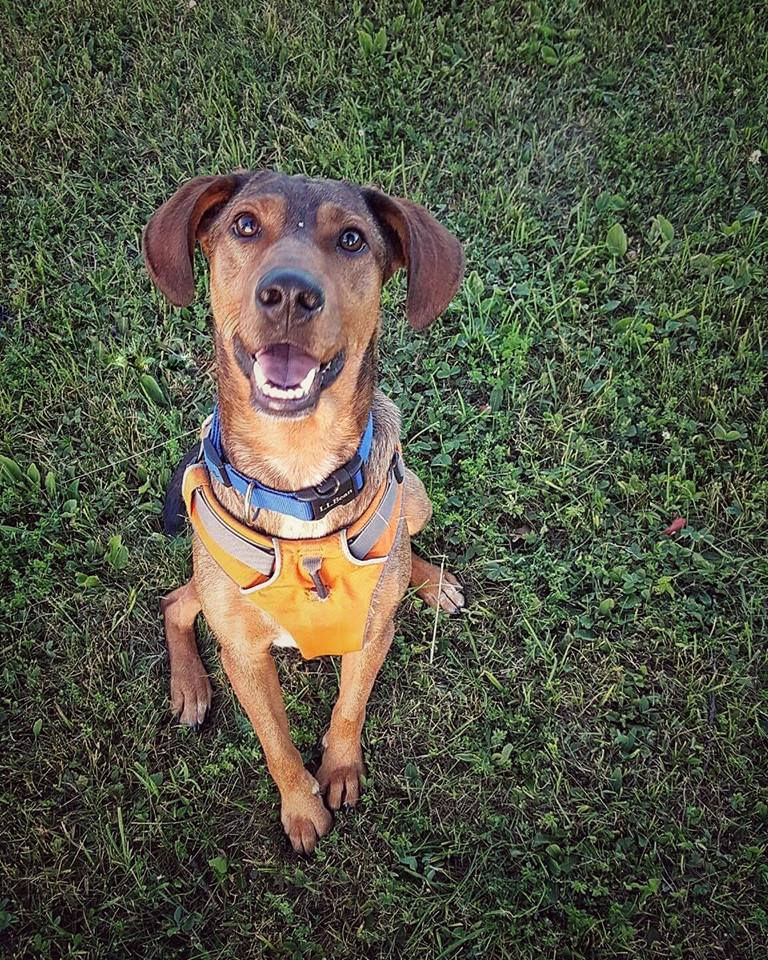 Charlie