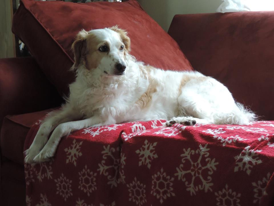Lily