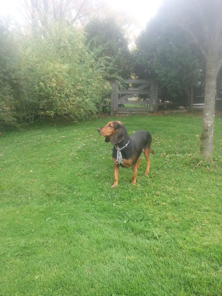 Bella