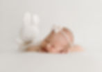 Birds_and_Bees_Newborn_and_Family_Photography_Wien